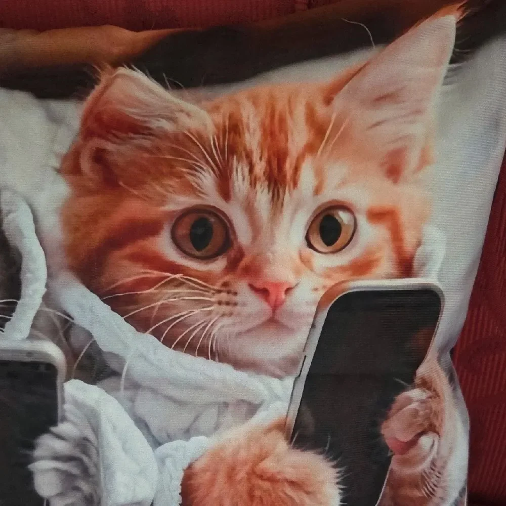 Cozy Cat Pillow Cover with Kittens in Robes